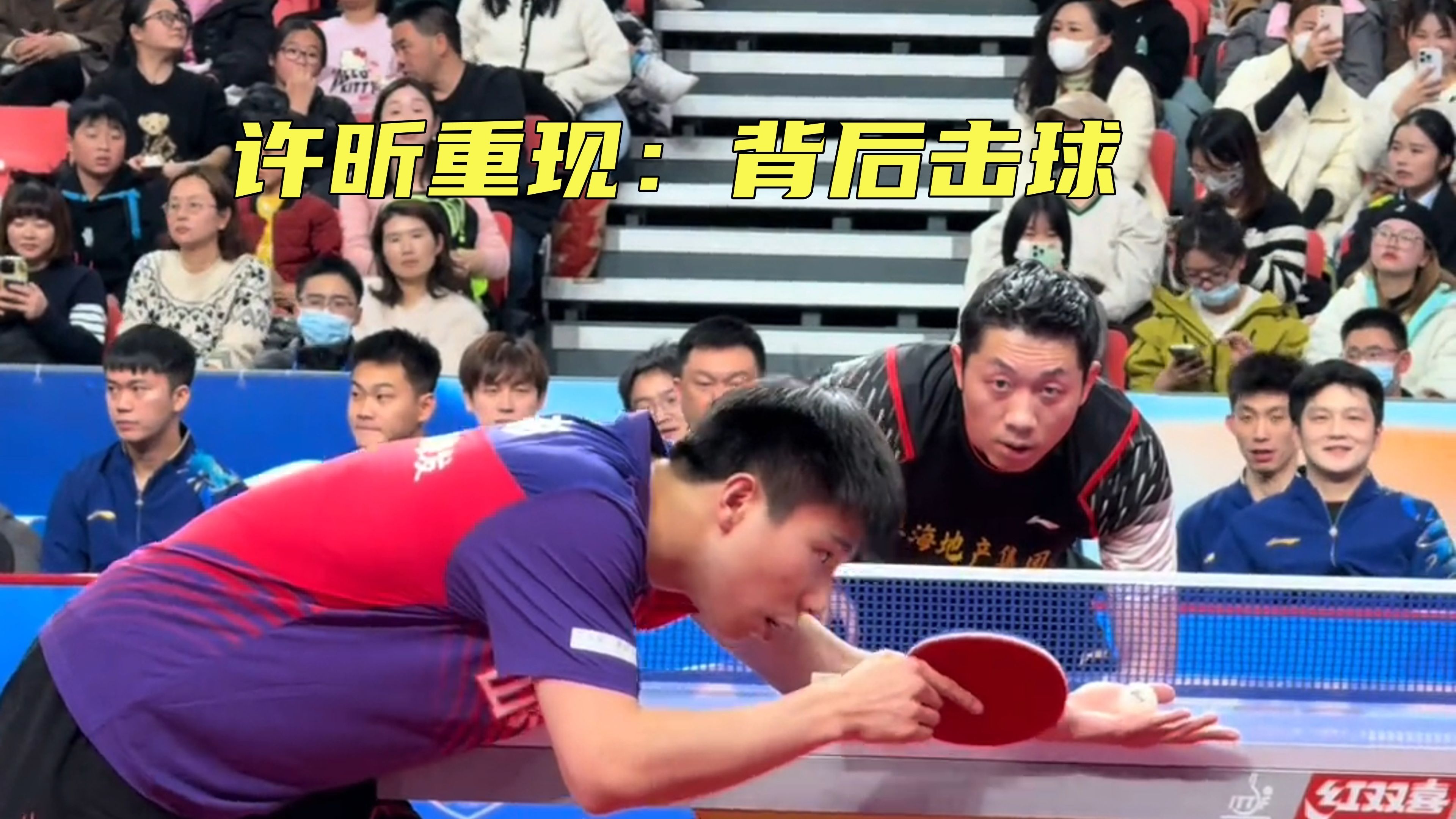 关于比利时乒乓球队碾压英国乒乓球队，许昕制霸全场的信息