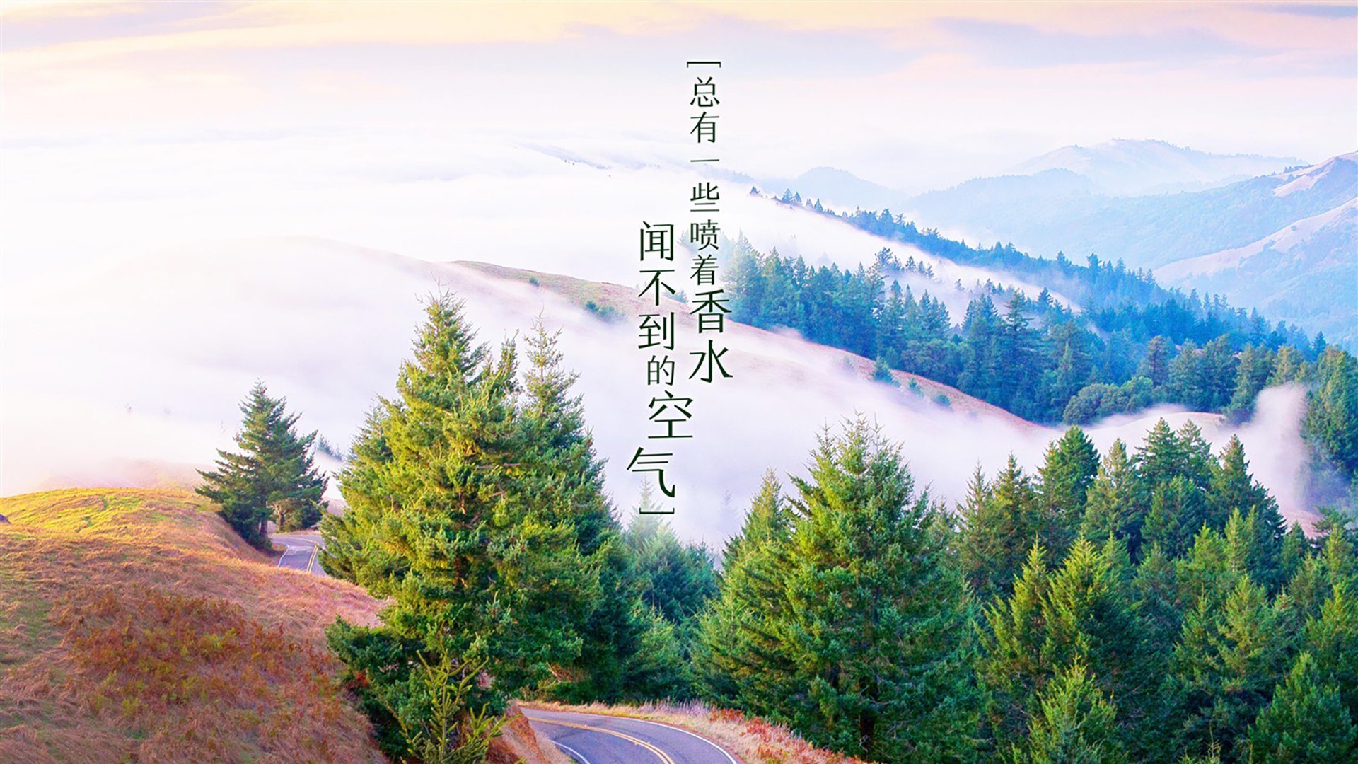 跨越半球的里程碑,赖斯在新西兰对阵瑞士中的传奇一刻