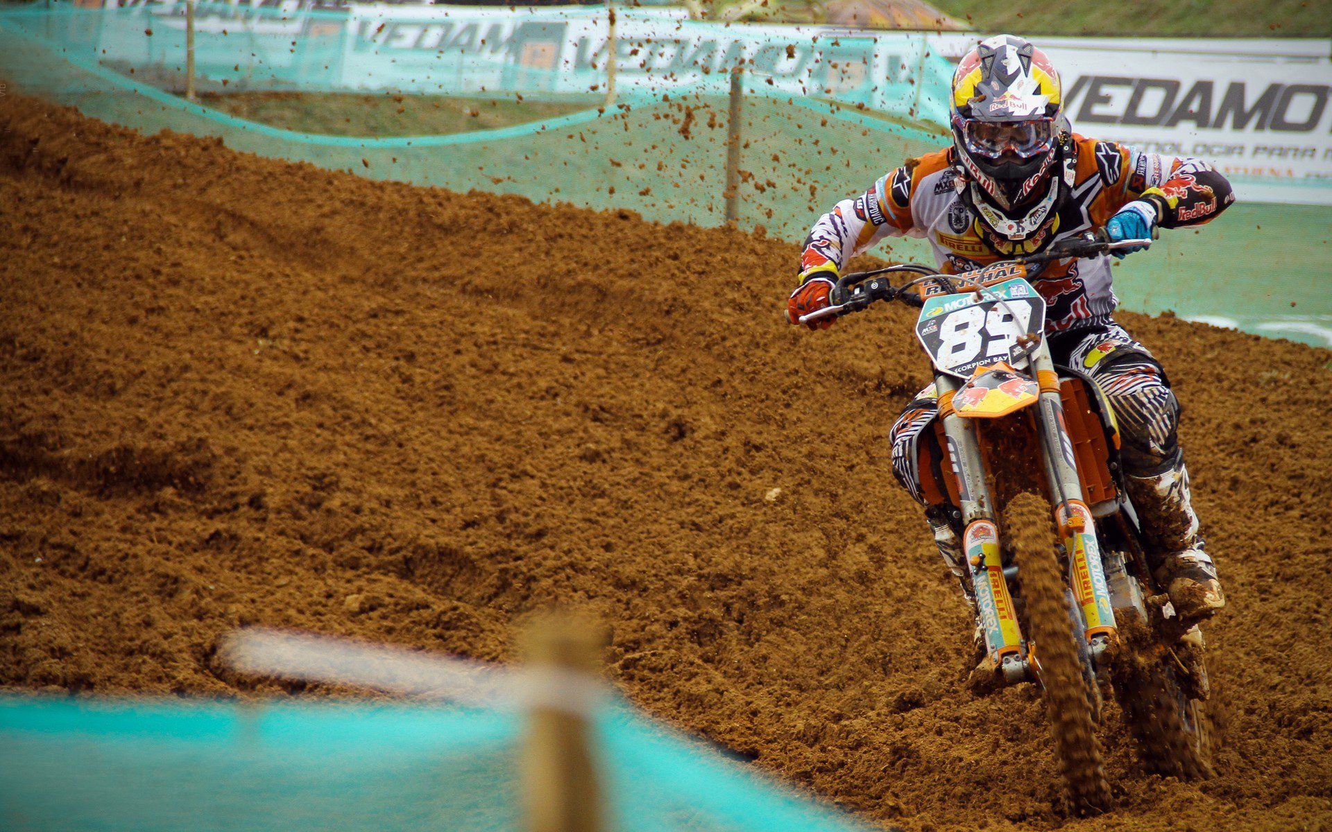 年度焦点之战之夜，塔图姆对手完全无解